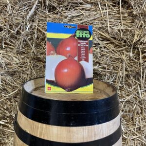 Late Valencian onion seeds Exportació Fitó