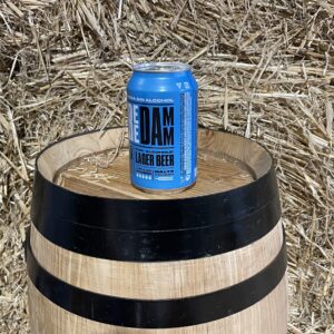 Alcohol-free beer Free Damm 33cl