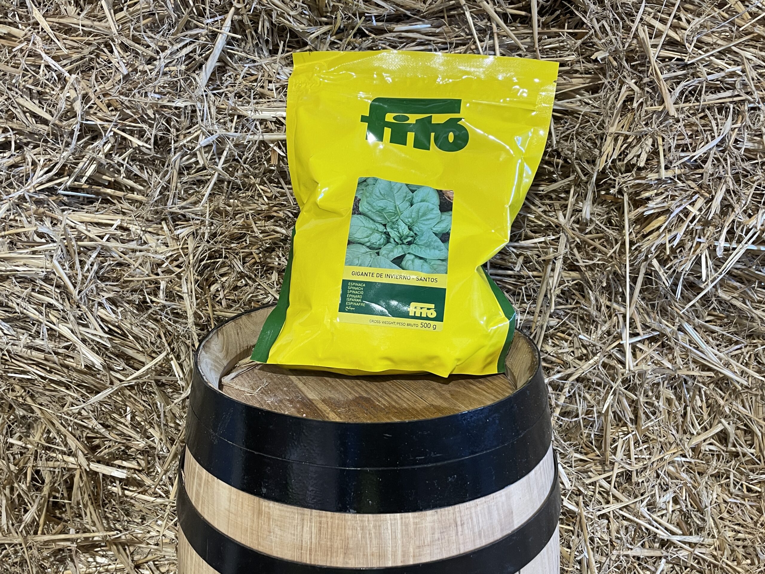 Giant Winter Spinach Seed - Santos Fitó 100gr