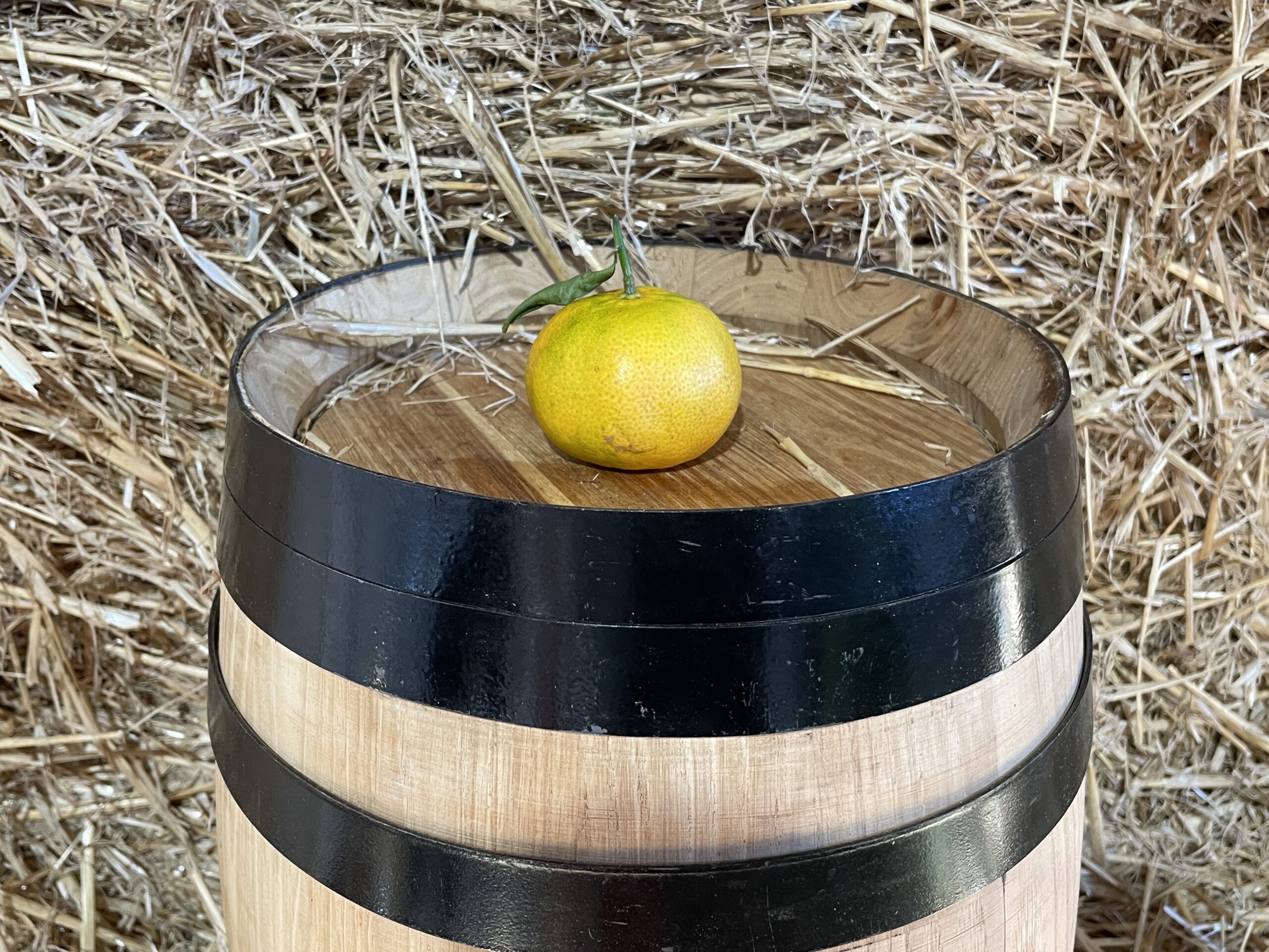 lemon - Image 2