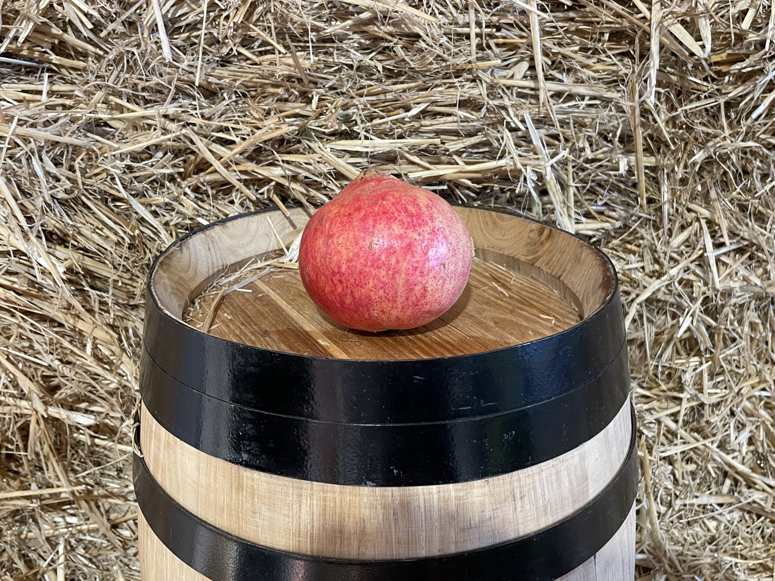 Pomegranate