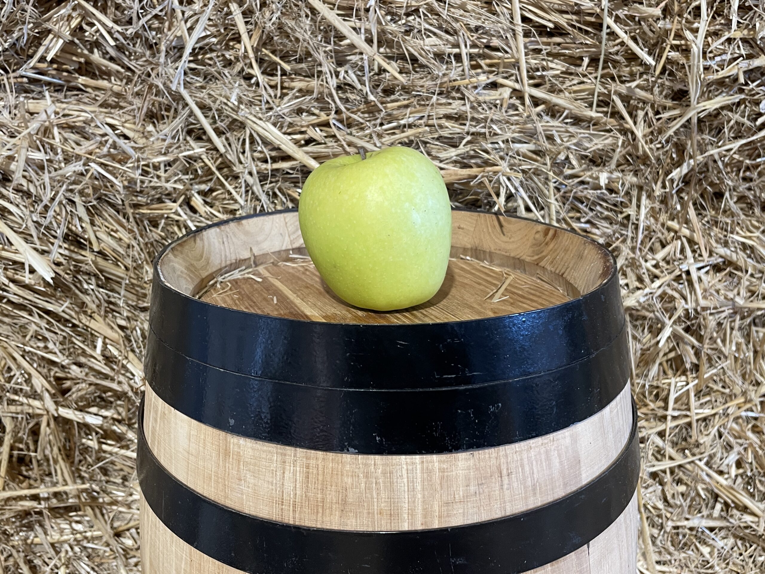 Golden apple